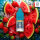RandM Tornado Liquid - Strawberry Watermelon 10mg/ml